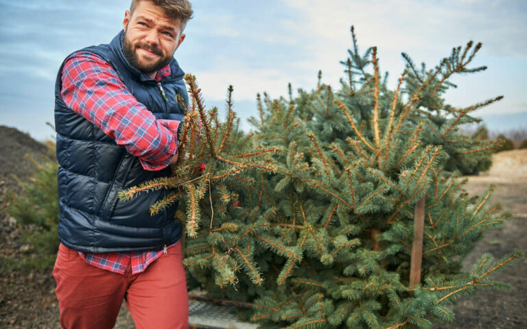 Umweltschutz durch selbst gebauten Weihnachtsbaum